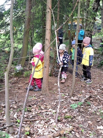 Auf einem Pirschpfad