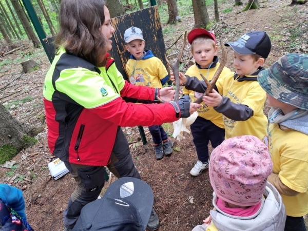 Ein Geweih ist nicht leicht