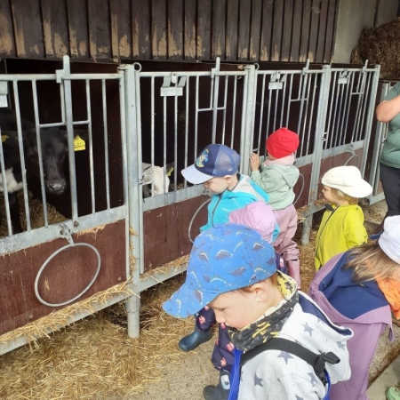 Besuch auf dem Bauernhof