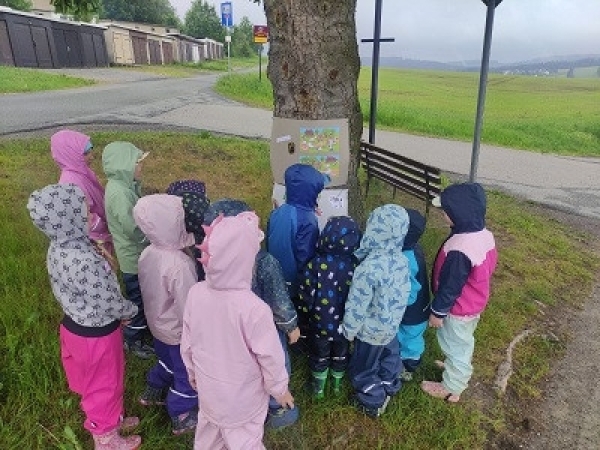 Auch auf dem Weg zum Wald gab es verschiedene Stationen und Hinweise