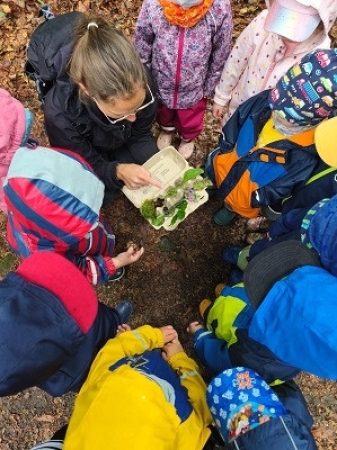 Jede Gruppe sammelte kleine Waldschätze
