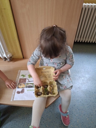 Flinke Füße Juni 2026 - Naturschätze aus unserem Garten