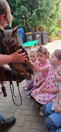 Erzkäuze zu Besuch