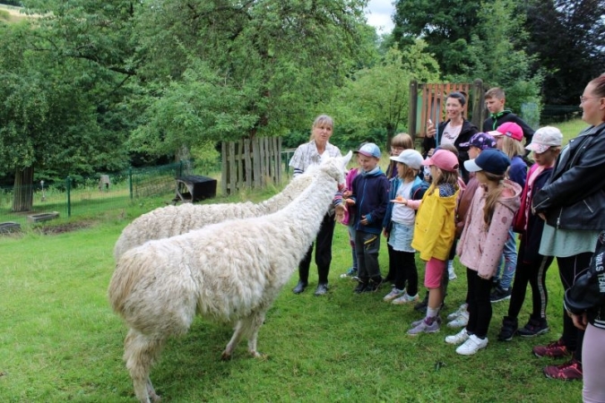 4. Sommerferienwoche