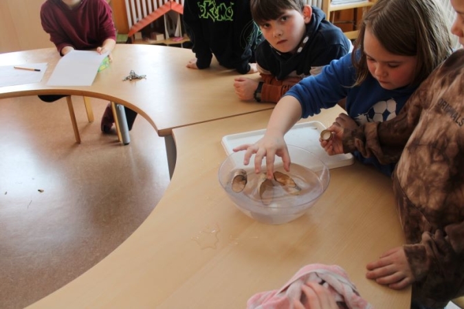 Experimente mit Wasser