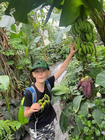 Botanischer Garten Chemnitz